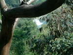 DSCF0039