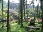 DSCF0029