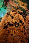 IMG_1556