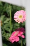 IMG_3049