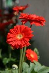 IMG_3053