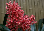 Z&B-091206 023