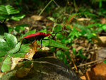 P1000336_m_a