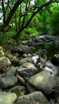 P1000344_m_a
