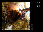 
007. The fisheye on the X-tree 