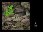 

002. One's Life