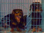 200805161429