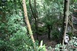 IMG_1693
