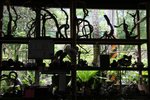 IMG_1695