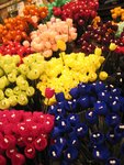 IMG_2084_1