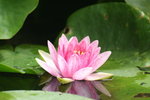 
IMG_8089