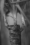 IMG_0589