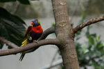 IMG_8821_resize