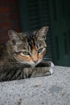 IMG_2565_resize