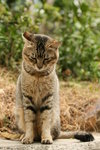IMG_8984_resize