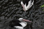 IMG_5869_resize