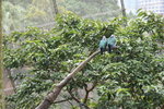 IMG_9844_resize