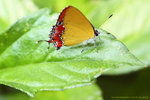 IMG_9633r