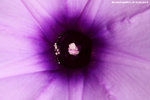 IMG_9645r