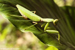 IMG_9687r