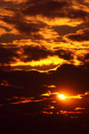 IMG_0449r