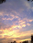 PHOTO421