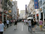 DSCN1511a