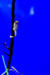 IMG_6848
