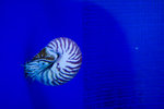 IMG_6854