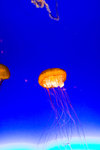 IMG_6907
