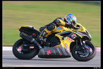 IMG_0024wf