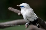 IMG_542701