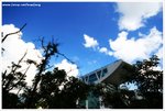 IMG_0597-web