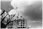 26270020-web