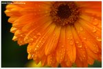 DSC00103-web