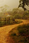 IMG_0536