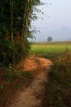 IMG_0816