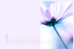 January 1024x850