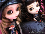 aIMG_1277