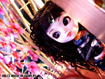 aIMG_1320