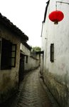 IMG_6995