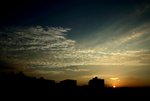 IMG_5453-