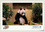 �j���߶�C�G�Y���_�w�w�ΨΨδN�O�����F����1999�~�ؤ����䪺§���C