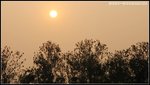 �鸨���n�ͳ�A��K�W�`�O�D�`���x