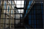 ���ɬF������K�N�ǤH��ĵ����ܺʺ��A�K�N����ĵ�p�A���ϵ��P�B�ΰ�h�Q�ʺ����ئb�@�_�A�i�ݨ���Фj�Ӹ�ʺ��������q�D
