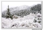 DSC_0645s