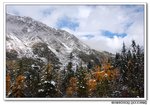DSC_0058s