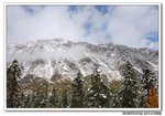 DSC_0061s