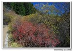 DSC_0504s