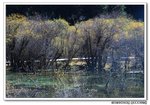 DSC_0508s